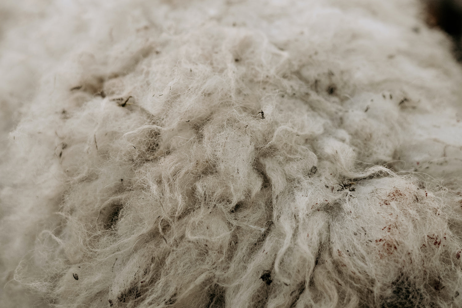 GRS 認證回收棉花：綠色產品的未來